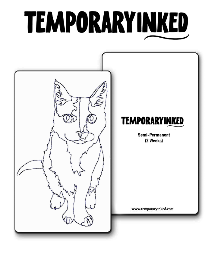 Curious Stare Tattoo