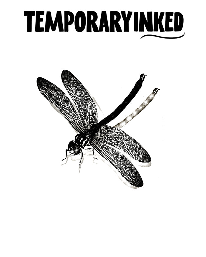 Dragonfly Realism Tattoo
