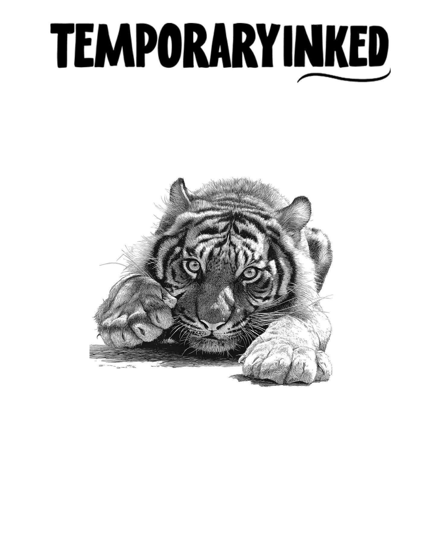 Tiger Fine Sketch Tattoo